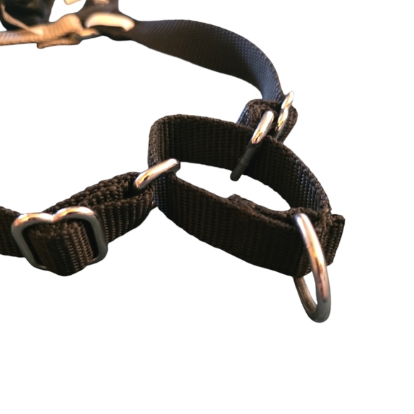 PetSafe Easy Walk Dog Harness, Medium - Picture 3 of 7